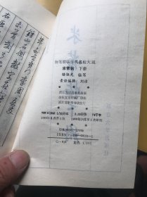 钢笔缩临历代名家帖大观：米芾帖（上下册）