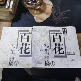 郑瑞章白描百花写生画稿