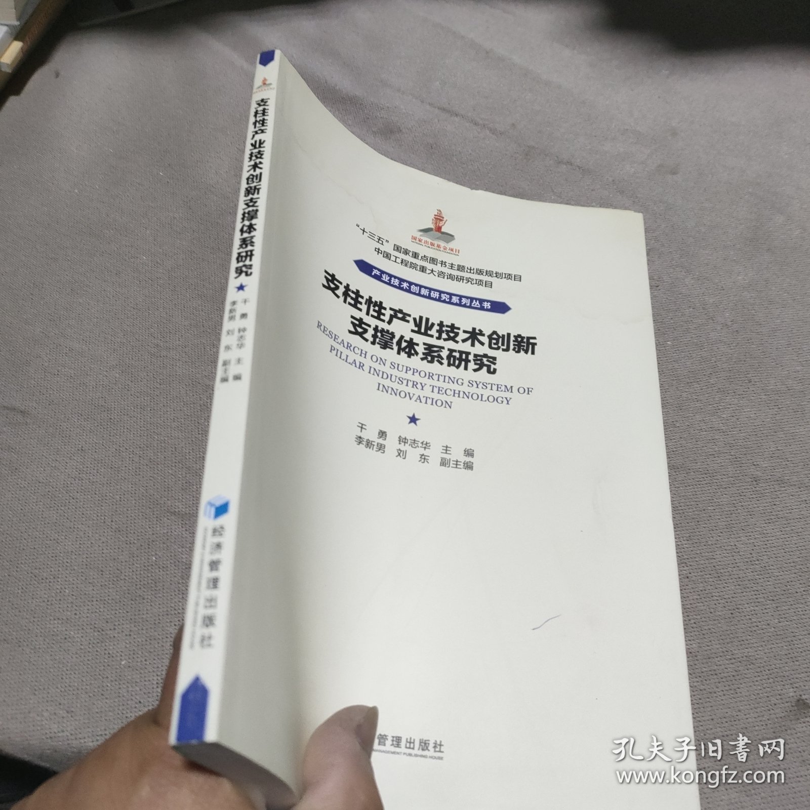 支柱性产业技术创新支撑体系研究