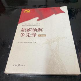 学习宣传贯彻党的精神国有企业基层党组织建设系列丛书：旗帜领航争先锋（实务篇）