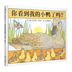 信谊宝宝起步走：你看到我的小鸭了吗？