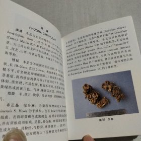 袖珍中药材鉴别图谱