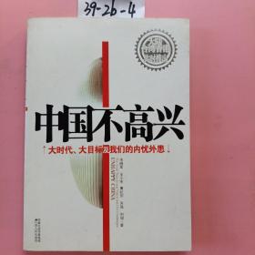 中国不高兴：大时代大目标及我们的内忧外患