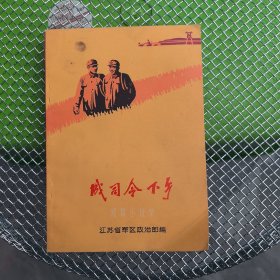 成司令下乡 短篇小说集