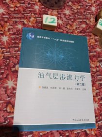 普通高等教育十一五国家级规划教材：油气层渗流力学（第2版）