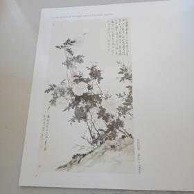 百花深处 颜萌花鸟画作品集