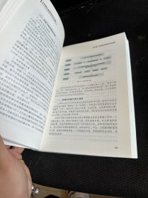 乡村振兴战略规划与实施/绿维文旅控股集团绿维开发运营丛书