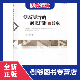 创新集群的演化机制与效率