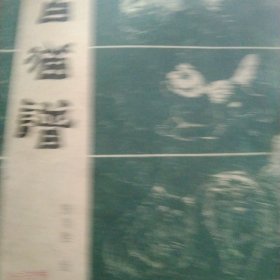 百猫谱