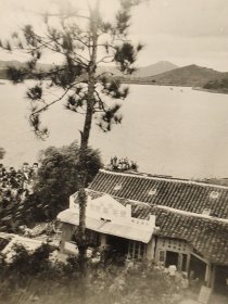 民国无锡风景老照片太湖莱芝斋餐馆太湖鱼虾等（少见的餐饮史料）