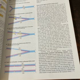 genetics from genes to genomes