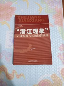 “浙江现象”产业集群与区域经济发展