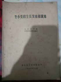 冬小麦的生长发育和栽培