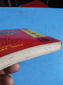 藏密大乘功