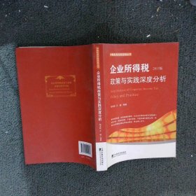 中翰税务风险控制丛书：企业所得税政策与实践深度分析（2013版）