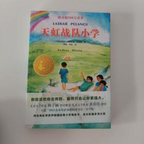 小译林国际大奖童书：天虹战队小学