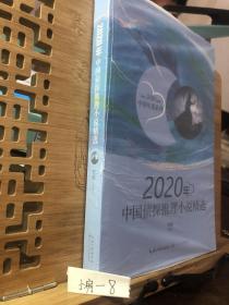 2020年中国侦探推理小说精选（2020中国年选系列）