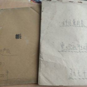 1959年人民公社生产队收入支出累计表 1964年农村农民收入分类账2本合售如图