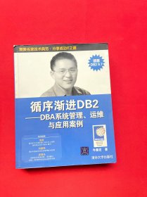 循序渐进DB2：DBA系统管理、运维与应用案例