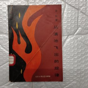 从滇池飞出的旋律