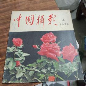 中国摄影1978年第 4 期