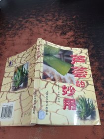 芦荟的妙用