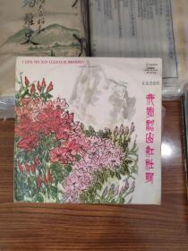我爱韶山红杜鹃