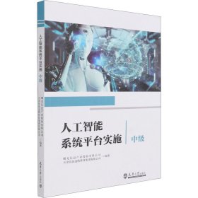 人工智能系统平台实施