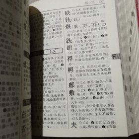 新华字典 第11版