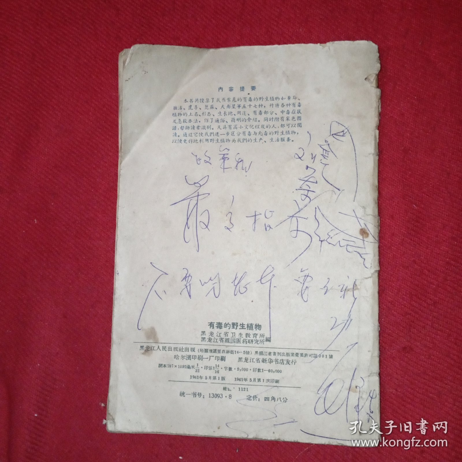 有毒的野生植物