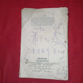 有毒的野生植物