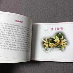 中草药野外识别手册(1一3册合售)