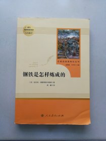 统编语文教材配套阅读 八年级下：钢铁是怎样炼成的/名著阅读课程化丛书