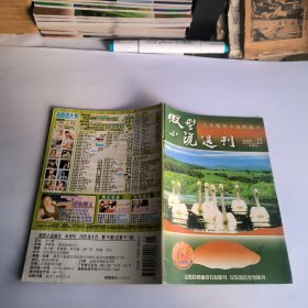 微型小说选刊2005年第1-24期总297-320期(24本合售)