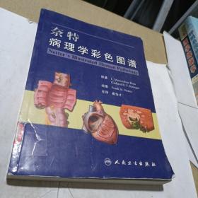 奈特病理学彩色图谱