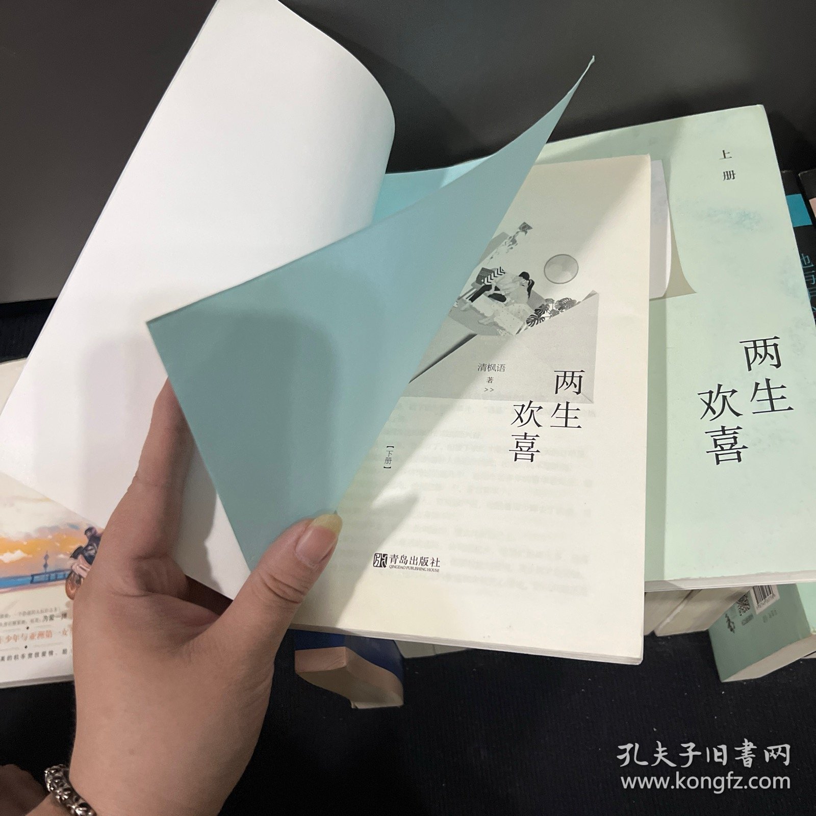 两生欢喜（上下）
