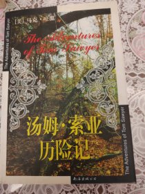 汤姆·索亚历险记