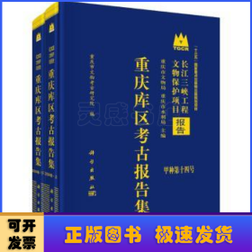 重庆库区考古报告集:2004卷