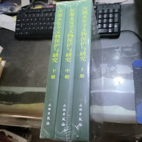 浑源永安寺文物保护与研究 上中下 没开封