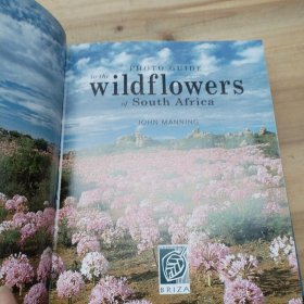 WILDFLOWERS OF SOUTH AFRICA 南非的野生花卉（看图，依图为准）