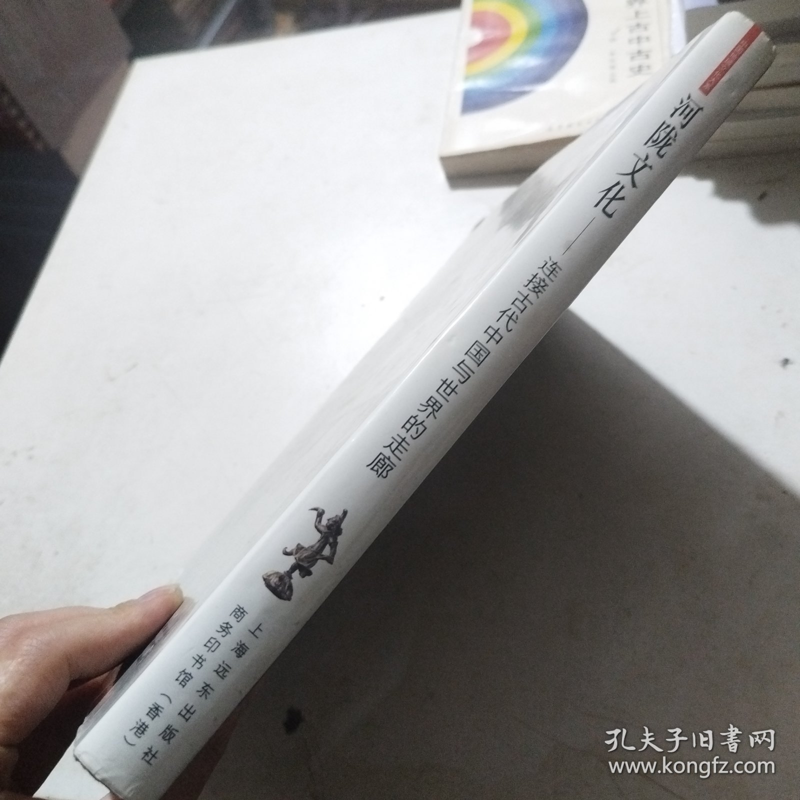 中国地域文化大系--河陇文化：连接古代中国与世界的走廊（精装）