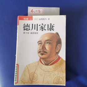 德川家康（第十部）：幕府将军