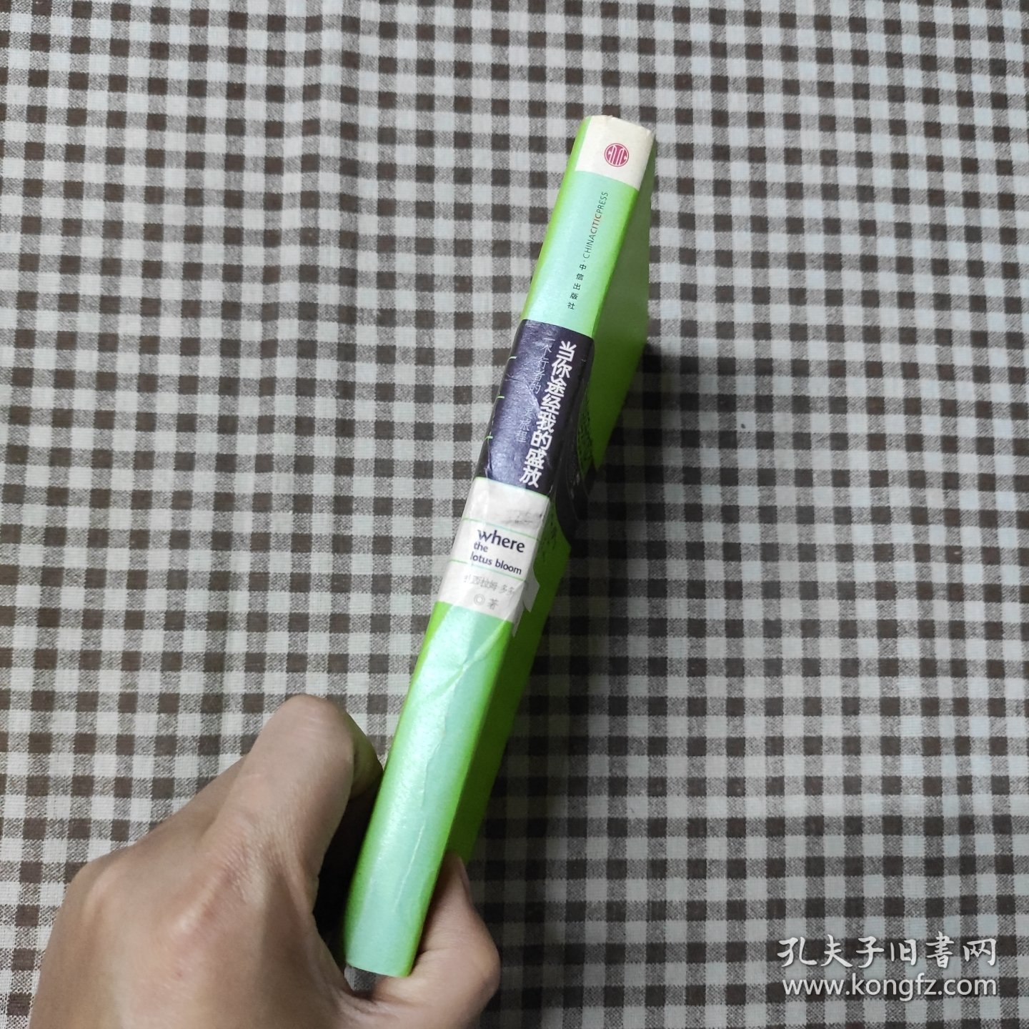 当你途经我的盛放：—一个行者的心灵旅程