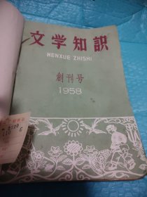 文学知识（创刊号，1958年10月，创一3，1959年1一6，9本合售，装订一册）