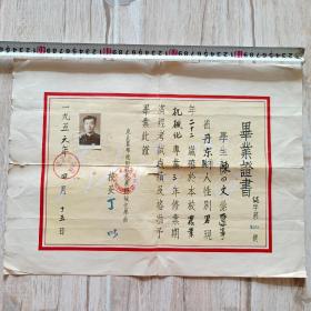 1956年东北农学院毕业证书.1953年松江省牡丹江市毕业证书（等6份）都是同一人的证书