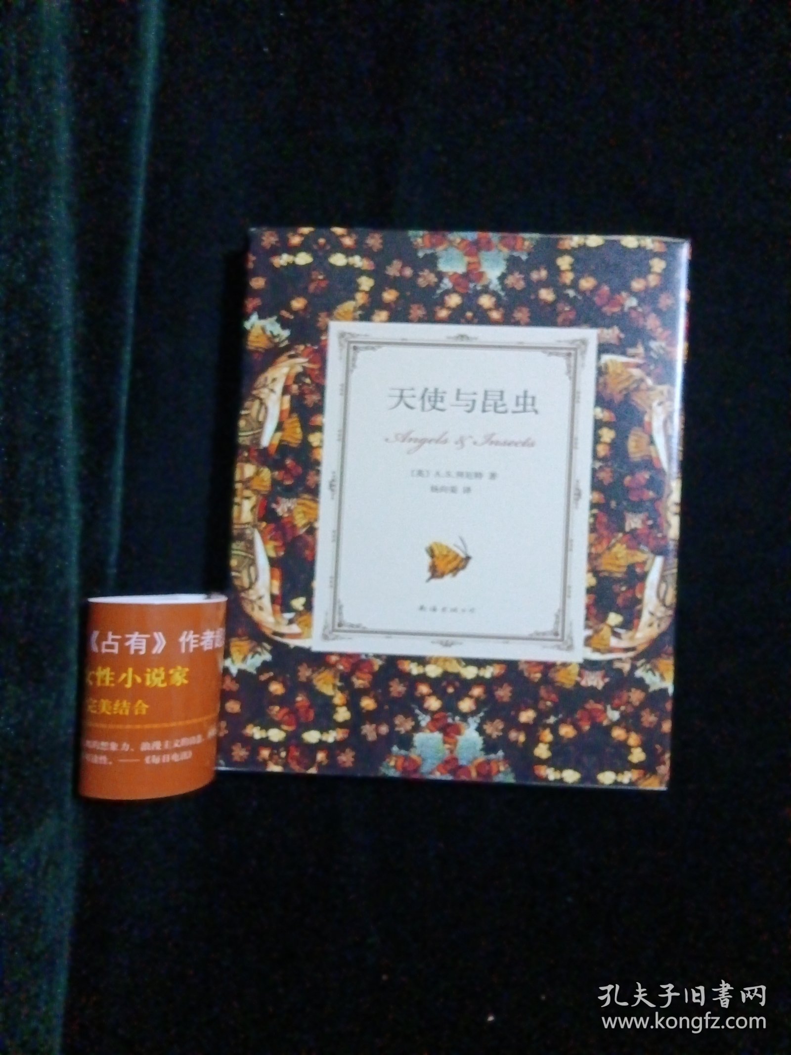 天使与昆虫