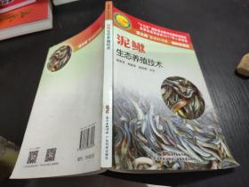 泥鳅生态养殖技术（“金土地”新农村书系 · 特色养殖编）大32开   23.10.21