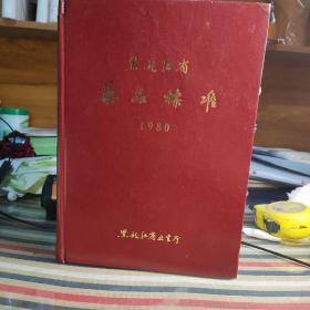 黑龙江省 药品标准 1980