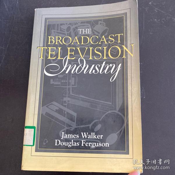 THE BROADCAST TELEVISION INDUSTRY