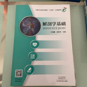 解剖学基础